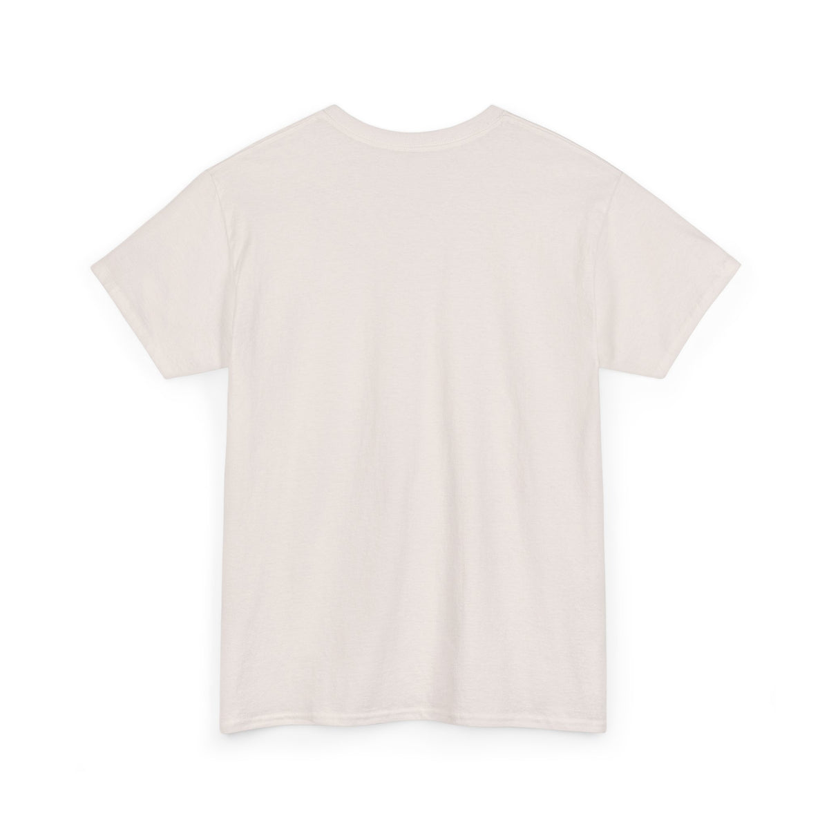 Patagonia Glacial Landscape T-Shirt