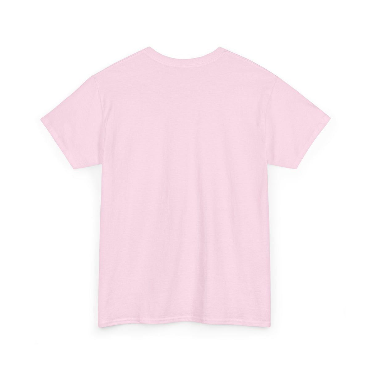 Beautiful Dragonfly T-Shirt